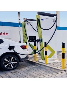 Moravia Black Bull Heavy Duty Bollards