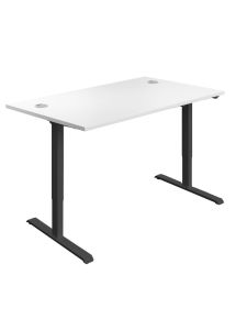 TC Ergonomic Standing Desk Adjustable Single Motor