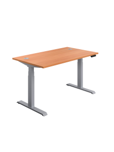 Economy Sit-Stand Office Desk with Memory Control