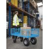 REACH General Purpose Trucks: Options: General Truck with Sides & Ends - Mesh Base - Puncture Proof Wheels