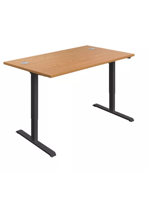 TC Ergonomic Standing Desk Adjustable Single Motor