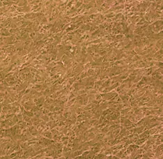 Premier Eco-Colour Class B Fire-Resistant Tamperproof Noticeboard