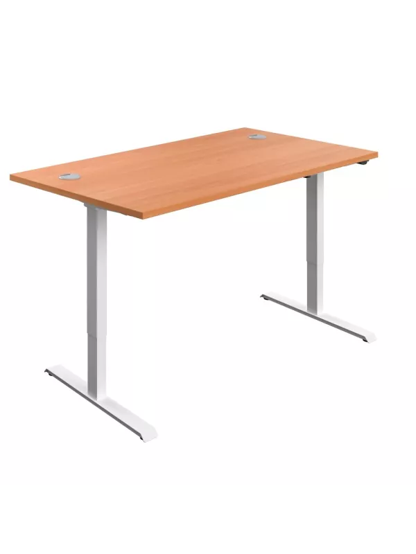 TC Ergonomic Standing Desk Adjustable Single Motor