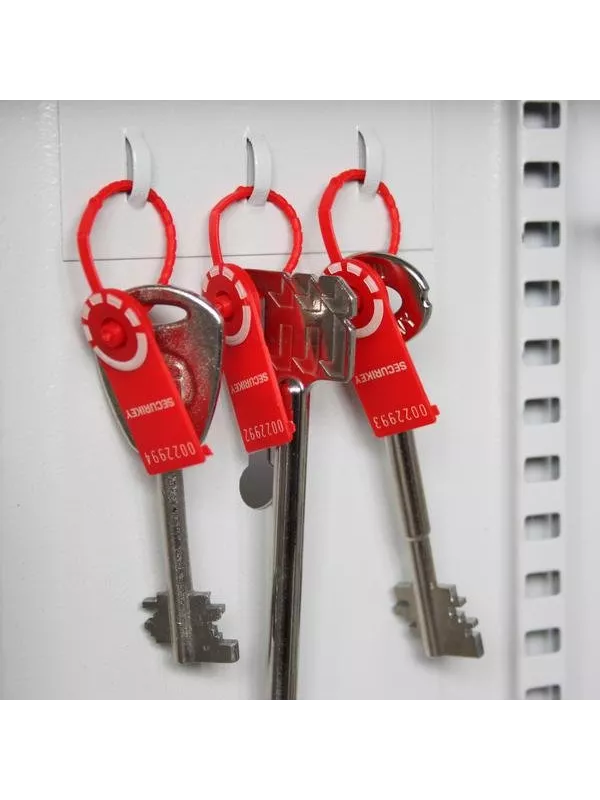 Securikey Wall Fixed DEEP 100 hook Key Cabinets
