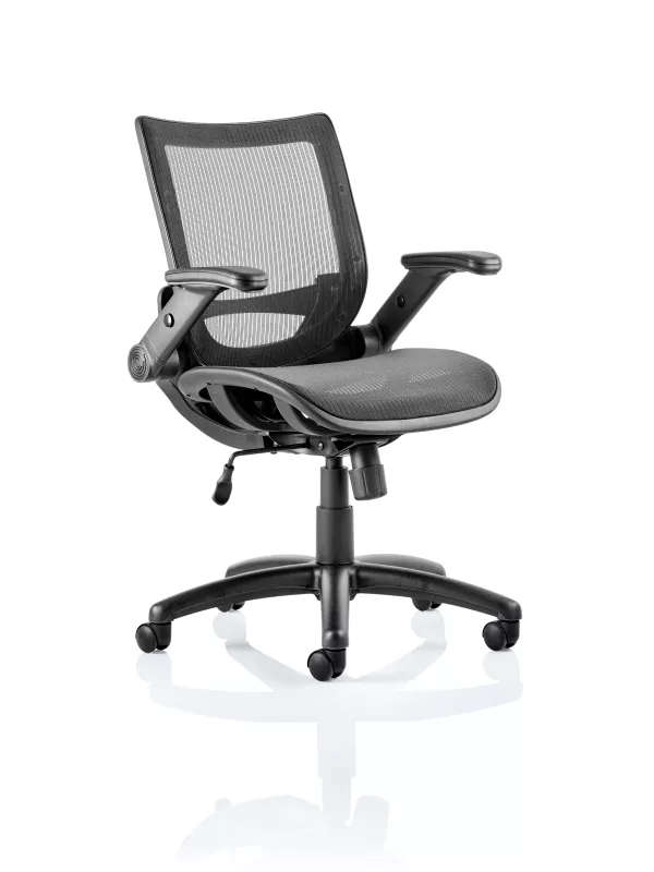 Fuller Mesh Office Chair with Folding Arms