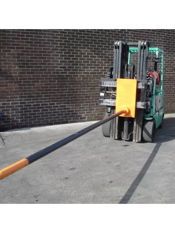 Invicta Carriage Mounted Poles