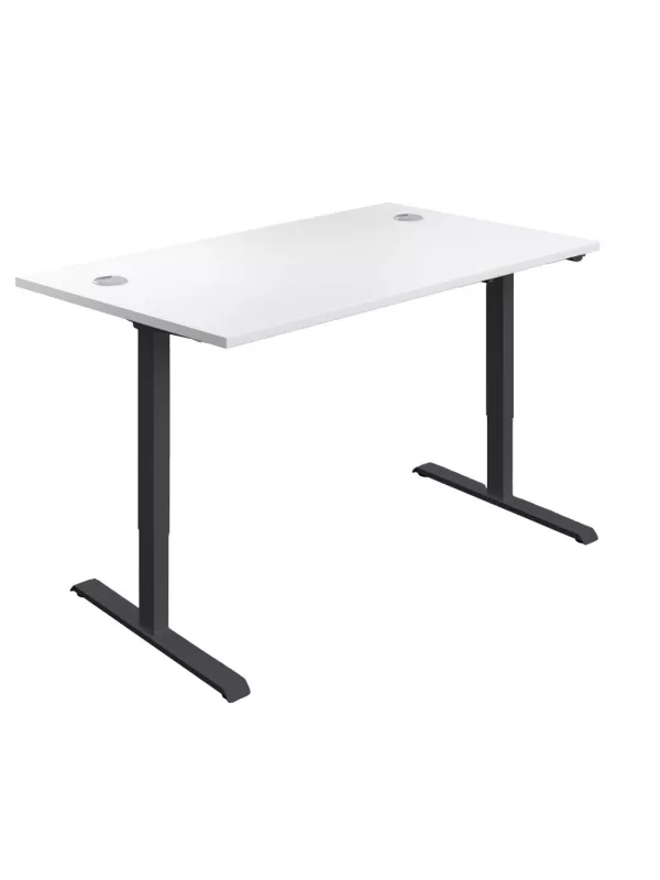 TC Ergonomic Standing Desk Adjustable Single Motor