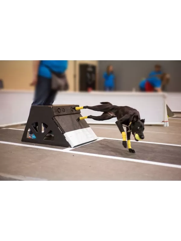 Flyball Matting 