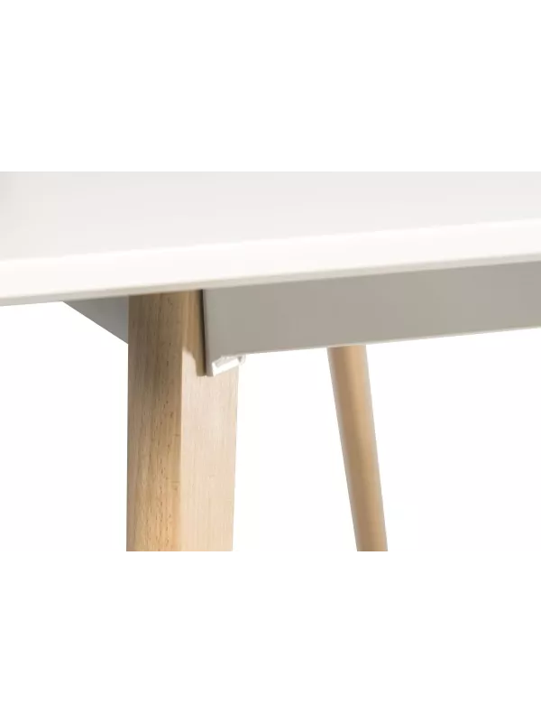 Teknik Skandi Rectangular Table – Contemporary Dining Table with Beech Legs