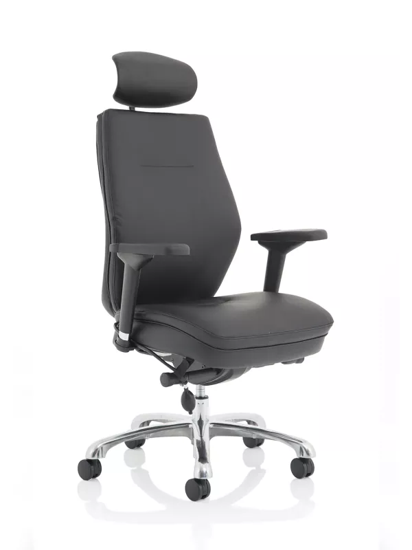 Domino 24-Hour Ergonomic Posture Chair – Adjustable Lumbar, Arms & Headrest