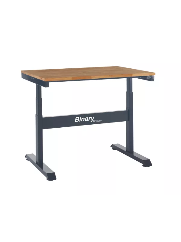 QMP Binary Electric Adjustable Height Workbench – Ergonomic & Efficient Solution