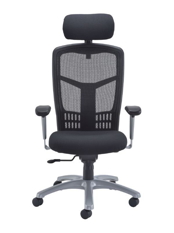 Fonz Mesh Back 24 Hour Chair with Adjustable Arms