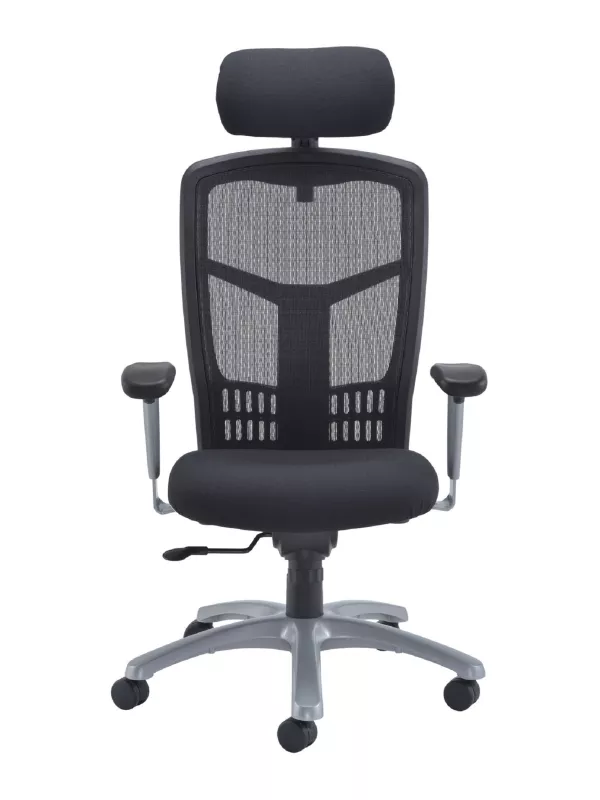 Fonz Mesh Back 24 Hour Chair with Adjustable Arms