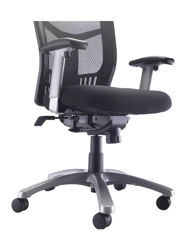 Fonz Mesh Back 24 Hour Chair with Adjustable Arms