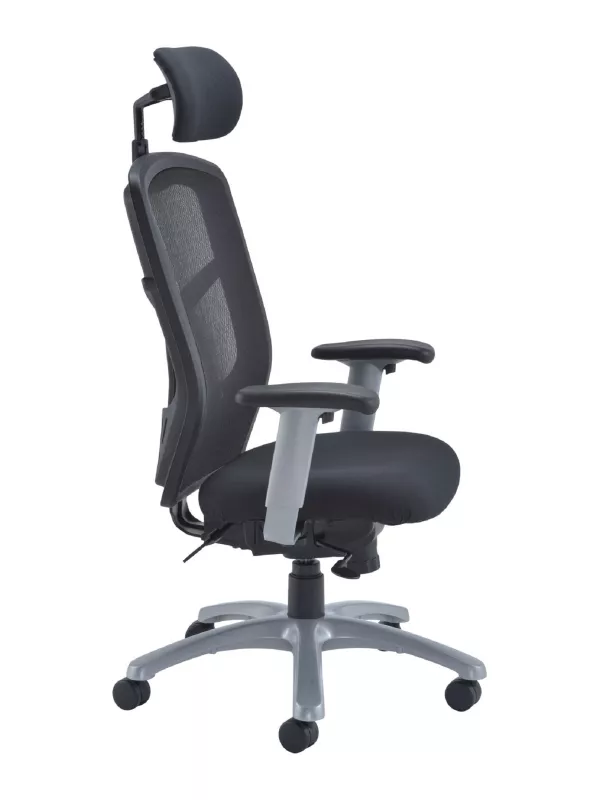 Fonz Mesh Back 24 Hour Chair with Adjustable Arms