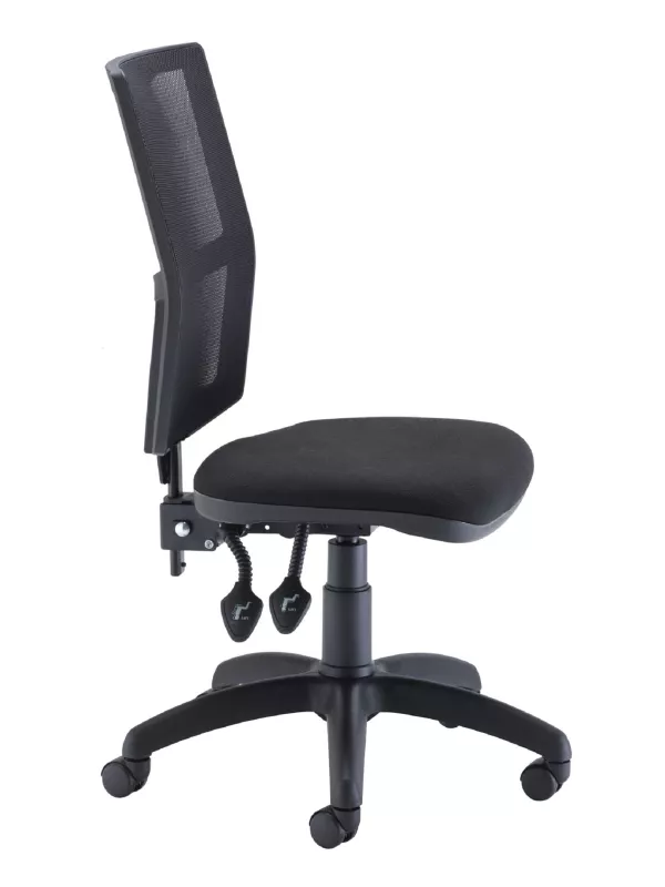 Mesh Back Calypso Office Chair