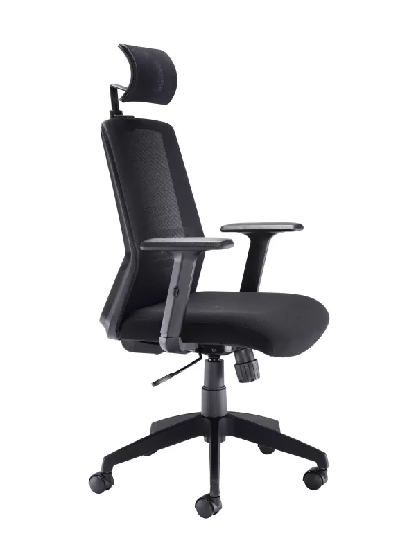Executive High Back chair with Headrest