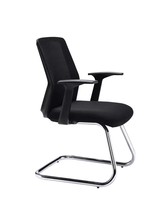 Denali Visitor Chair