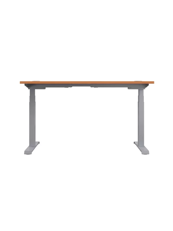 Economy Sit-Stand Office Desk with Memory Control