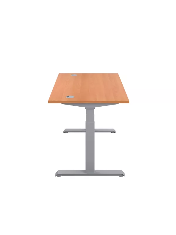 Economy Sit-Stand Office Desk with Memory Control