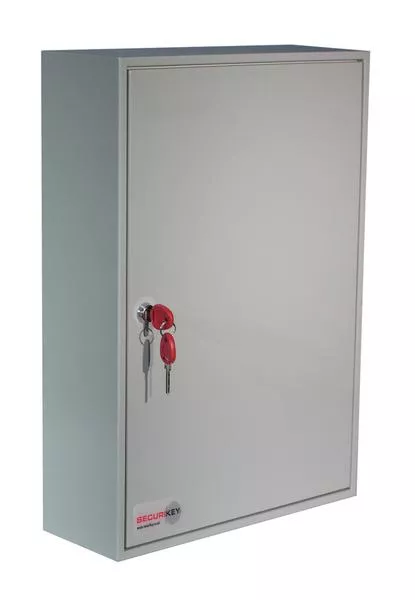 Securikey Wall Fixed DEEP 100 hook Key Cabinets