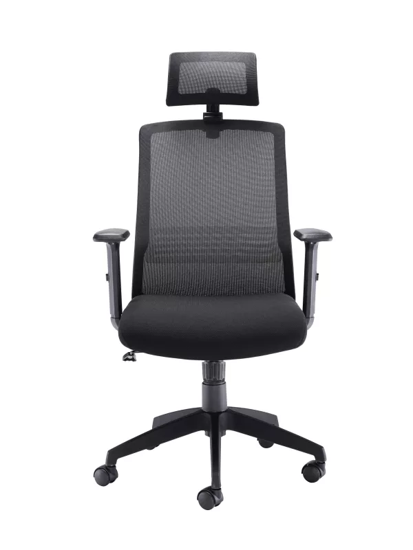 Executive High Back chair with Headrest