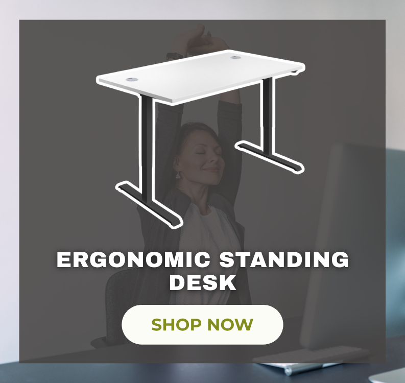 TC Office Ergonomic Standing Desk