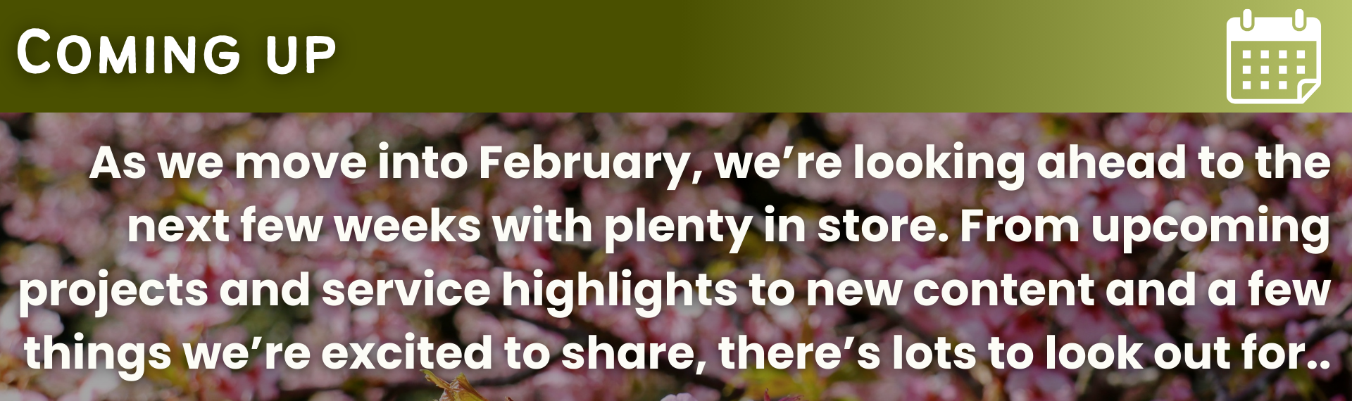 “Coming up” section from the Premier Storage January 2026 newsletter highlighting upcoming projects, service highlights and new content planned for February.